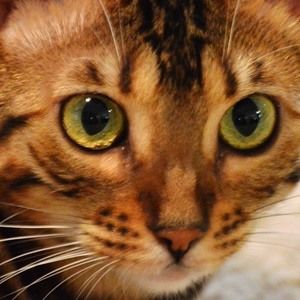 Meet your Posher, Mel